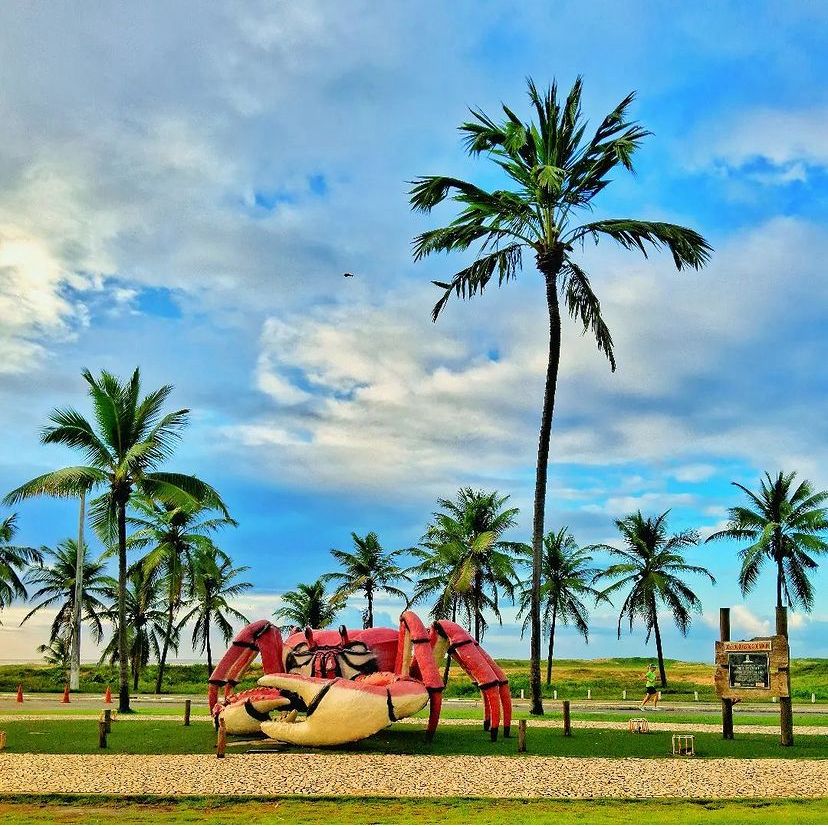 EXCURSÃO ARACAJU ( CROA DO GORÉ + LAGOA DOS TAMBAQUIS)