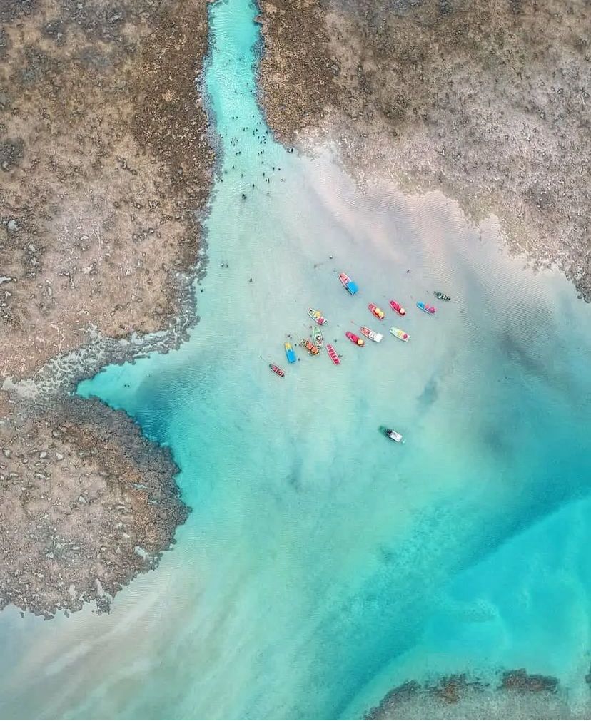 SANTUÁRIO ECOLÓGICO + SÃO MIGUEL DOS MILAGRES + PRAIA DO GUNGA