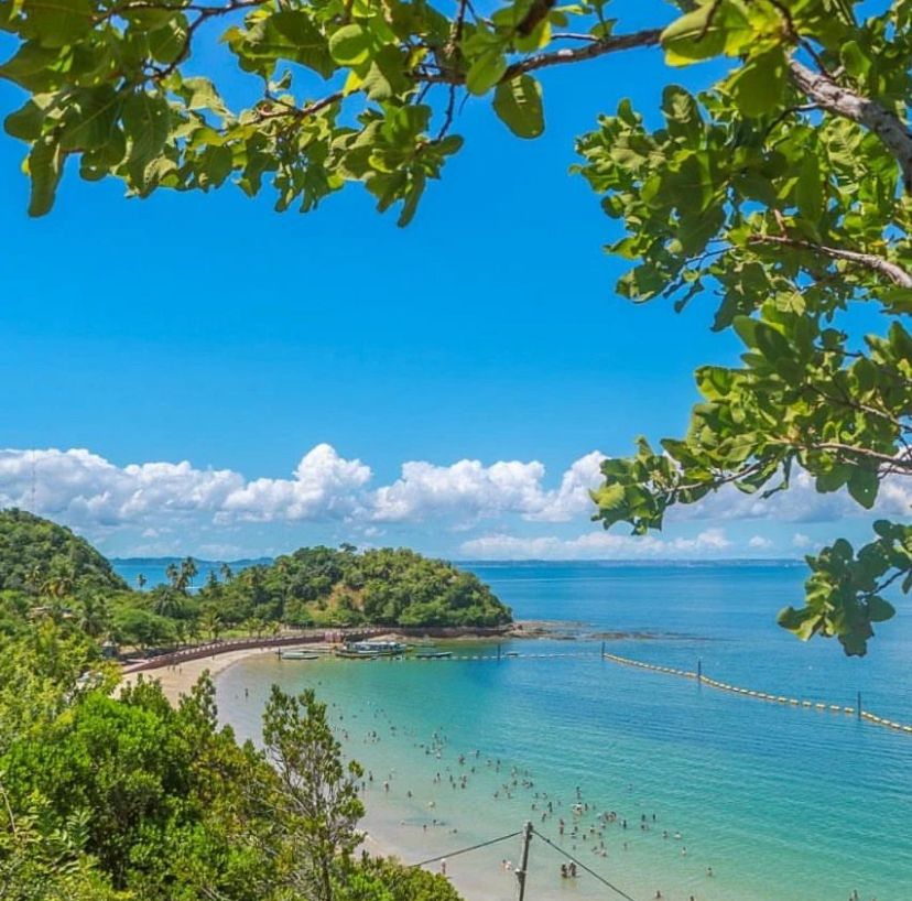 ESCUNA DIÁRIA PARA ILHA DOS FRADES + RESTAURANTE MANGUEZAL